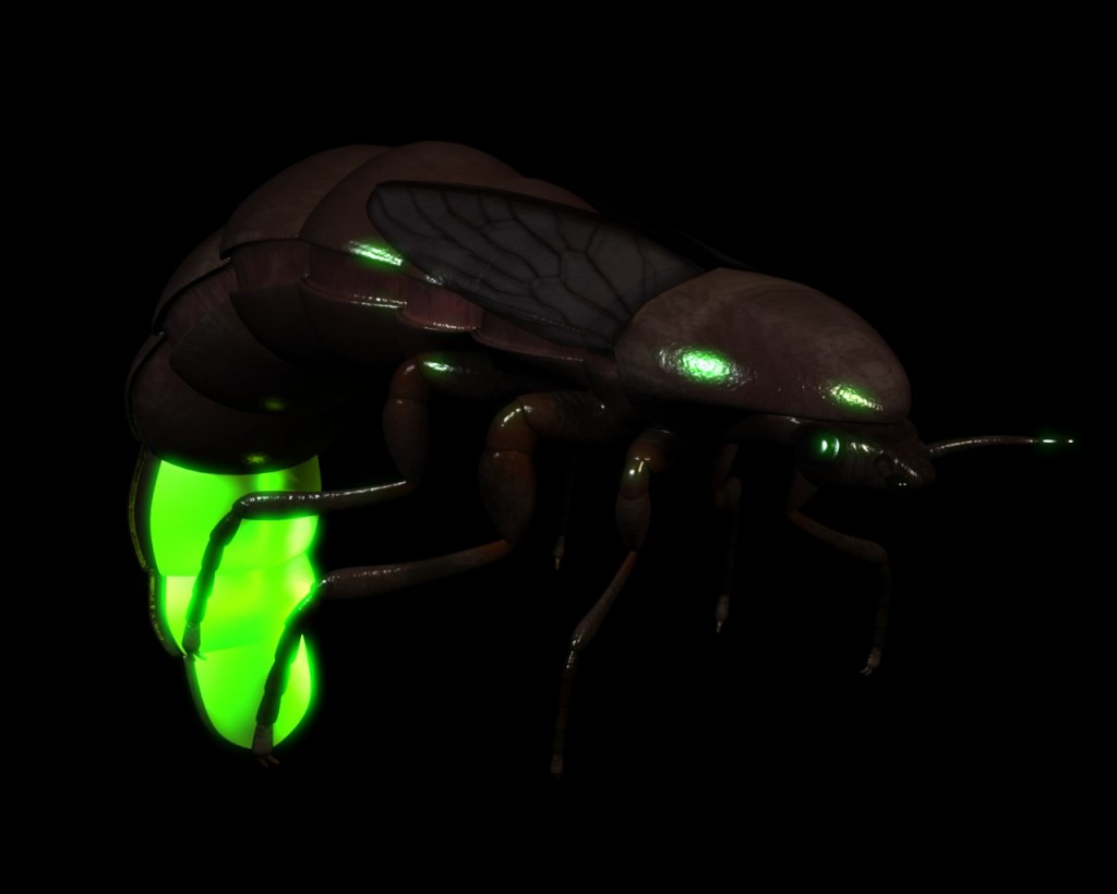 Glow worms preview image 1